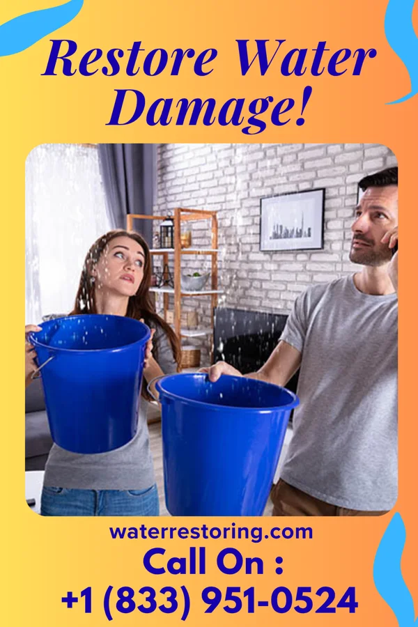 water restoration Best Extraction Thompsonville