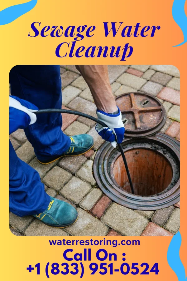 Sewage Water Cleanup in Thompsonville, PA