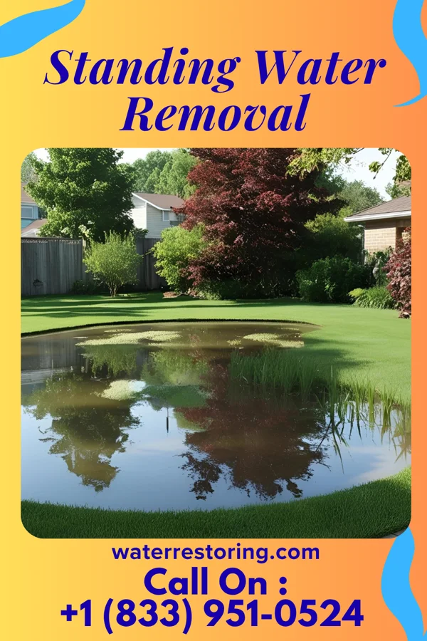 Standing Water Removal in Thompsonville, PA